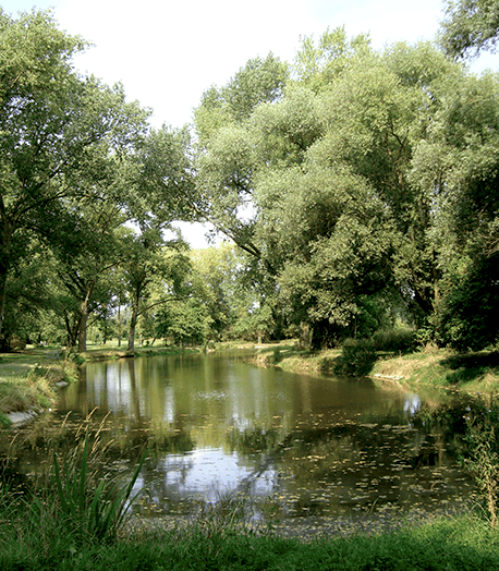 Relais Nature du Parc de la Deûle